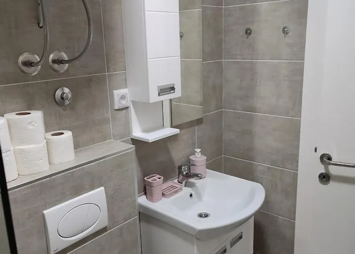 公寓 Vukan Srebrno Jezero